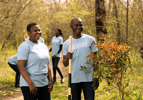 Nonprofit Mailing List