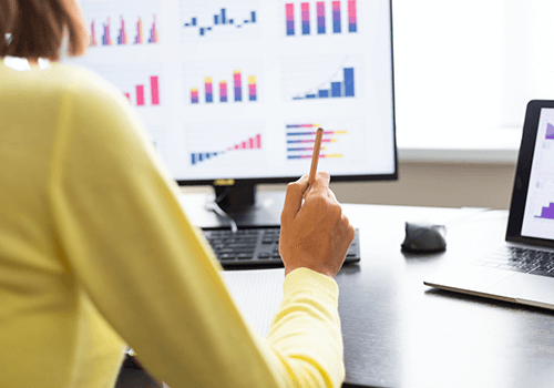 Demographic Append API